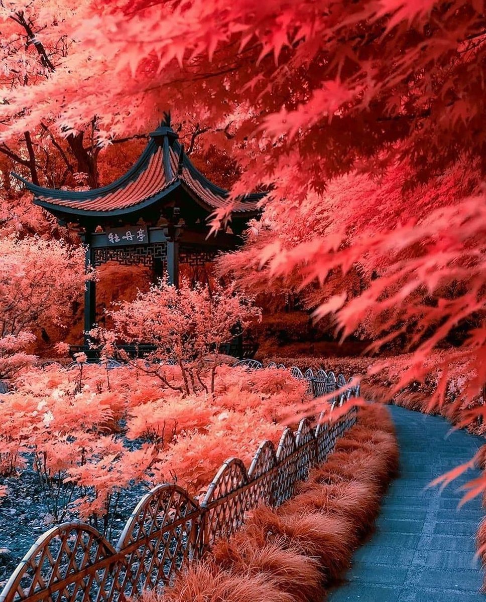 Mundo__Paisajes's tweet photo. Increíble colores en China.♥️😍🌏 https://t.co/lyLFOkmB69
