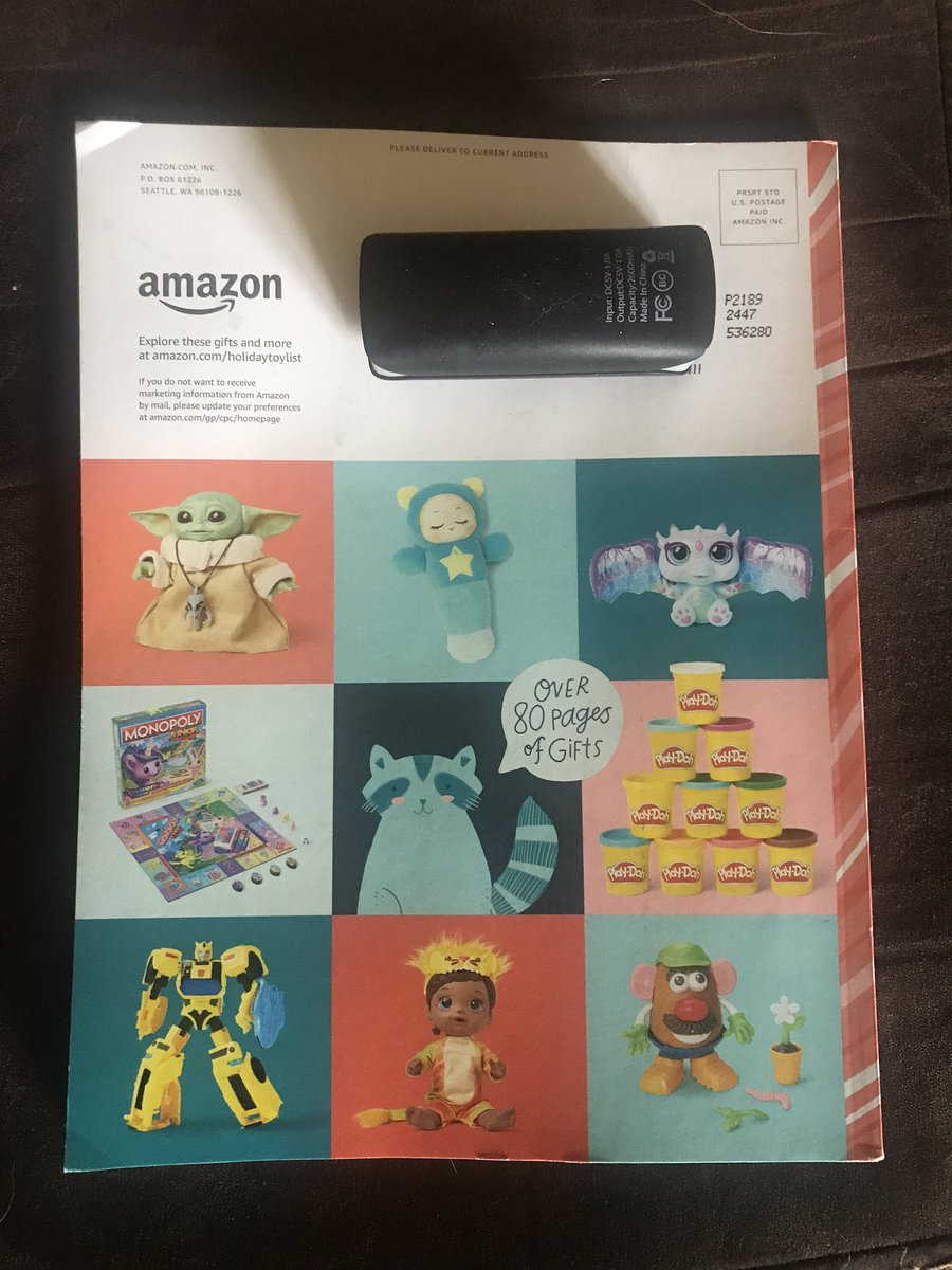 debdunlevy's tweet photo. In the mail today: a 90 page, full color, actual paper Christmas catalog...from Amazon. I knew the world was upside down but this is just, what is even happening? https://t.co/V300QRozJl