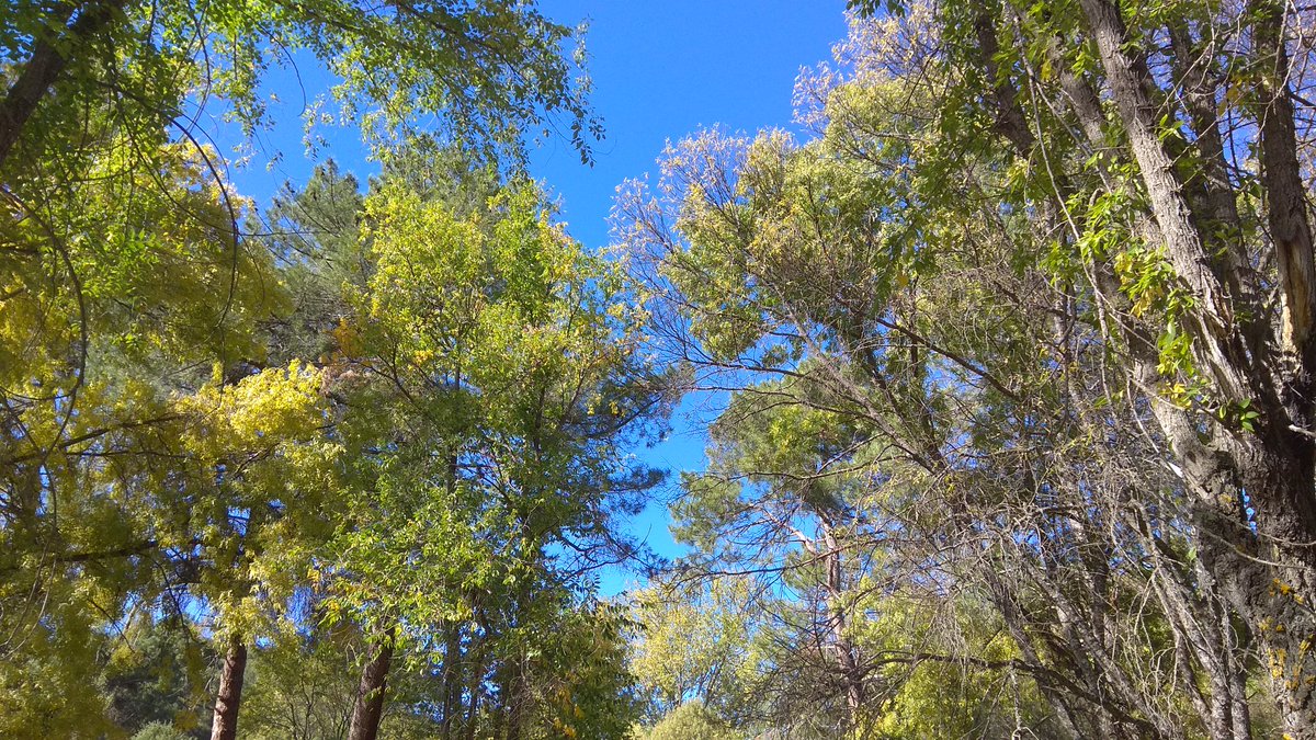 parajesxvisitar's tweet photo. Precioso el #ValleDeIruelas en pleno #otoño 🍂 🍃
Qué tonalidades 😍 https://t.co/OnWzCde5WN