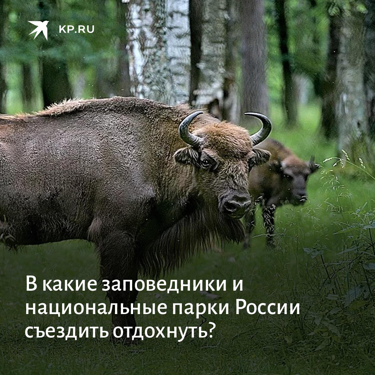 по заповедникам и национальным паркам