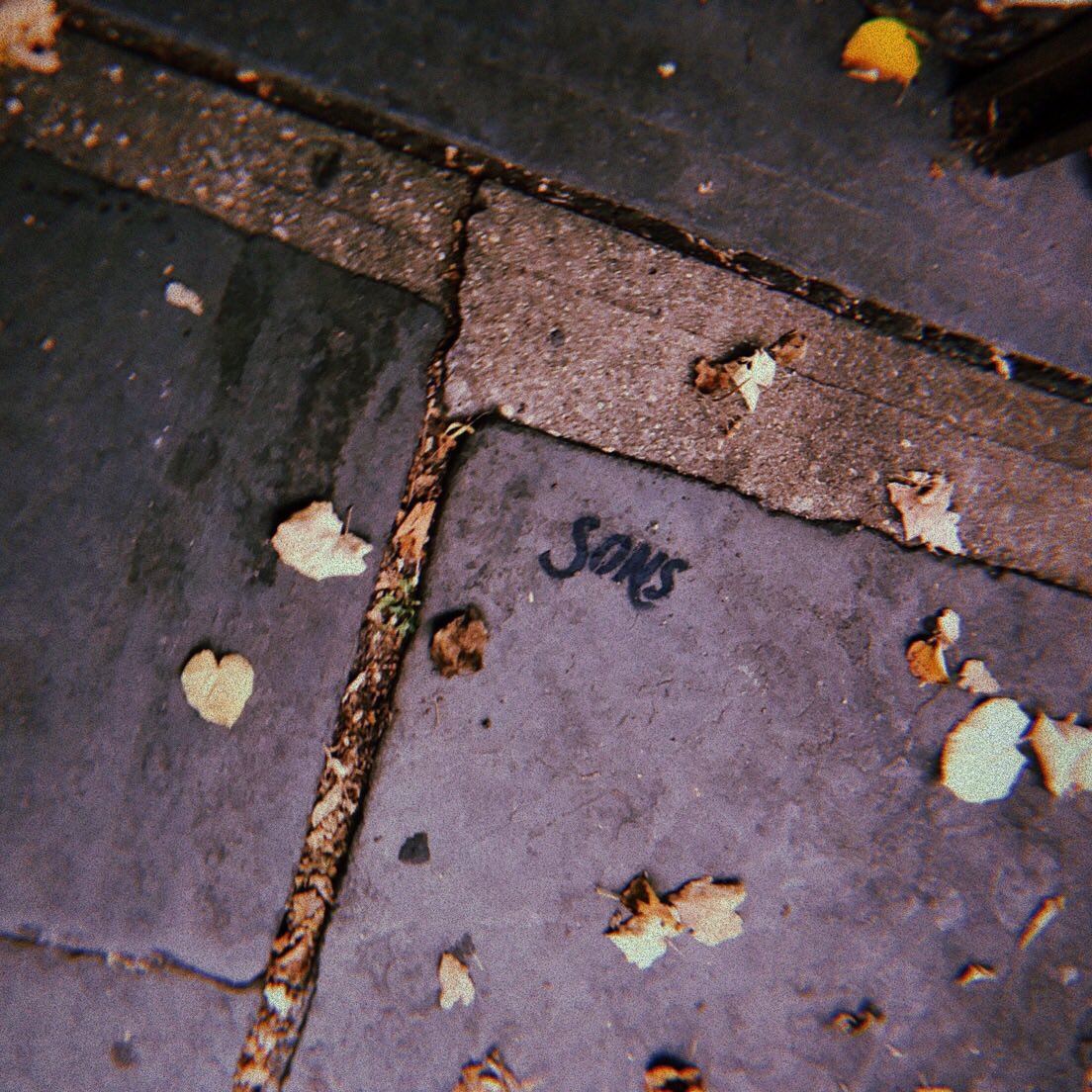 sonssocialclub's tweet photo. SONS FOUND | brooklyn, ny https://t.co/47BQ0JtyTw