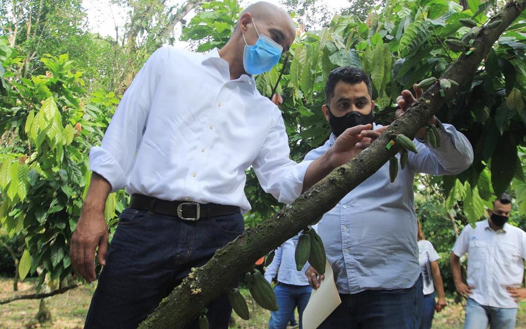 MirandaGob's tweet photo. En la subregión Barlovento del estado Miranda, inició el cultivo de mil hectáreas de cacao certificado, como parte de las acciones que el Gobierno regional lleva a cabo en la entidad. #MirandoAlFuturo #VenezuelaGarantíadeDDHH #14Oct https://t.co/TvXBBEiBGB https://t.co/xr7Iz0BDJK