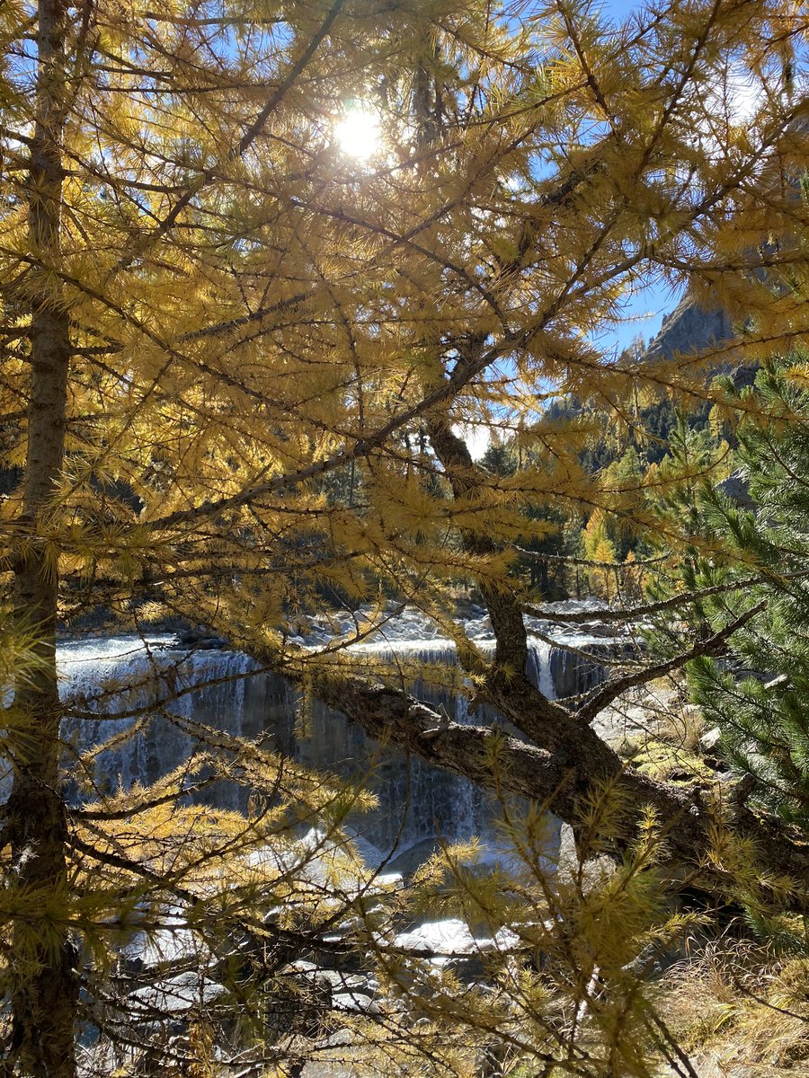 CSolenthaler's tweet image. 🍁🇨🇭😍