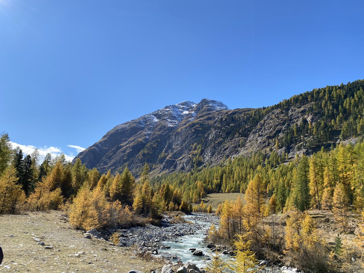 CSolenthaler's tweet image. 🍁🇨🇭😍