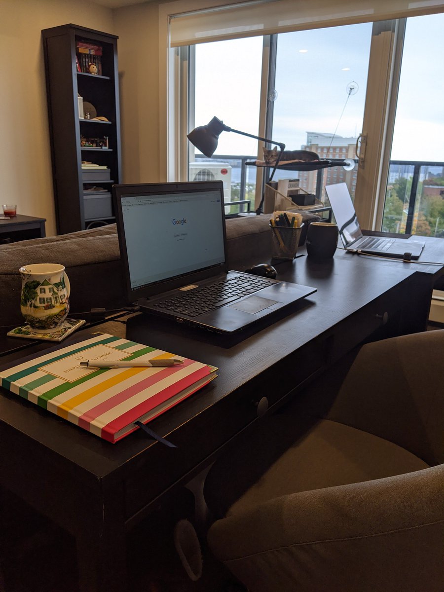 AbleSense's tweet image. We&apos;re just getting to know our new #JuniorDeveloper, Bruna, and we&apos;re excited to see that her #homeworkspace is on point.

#wfh