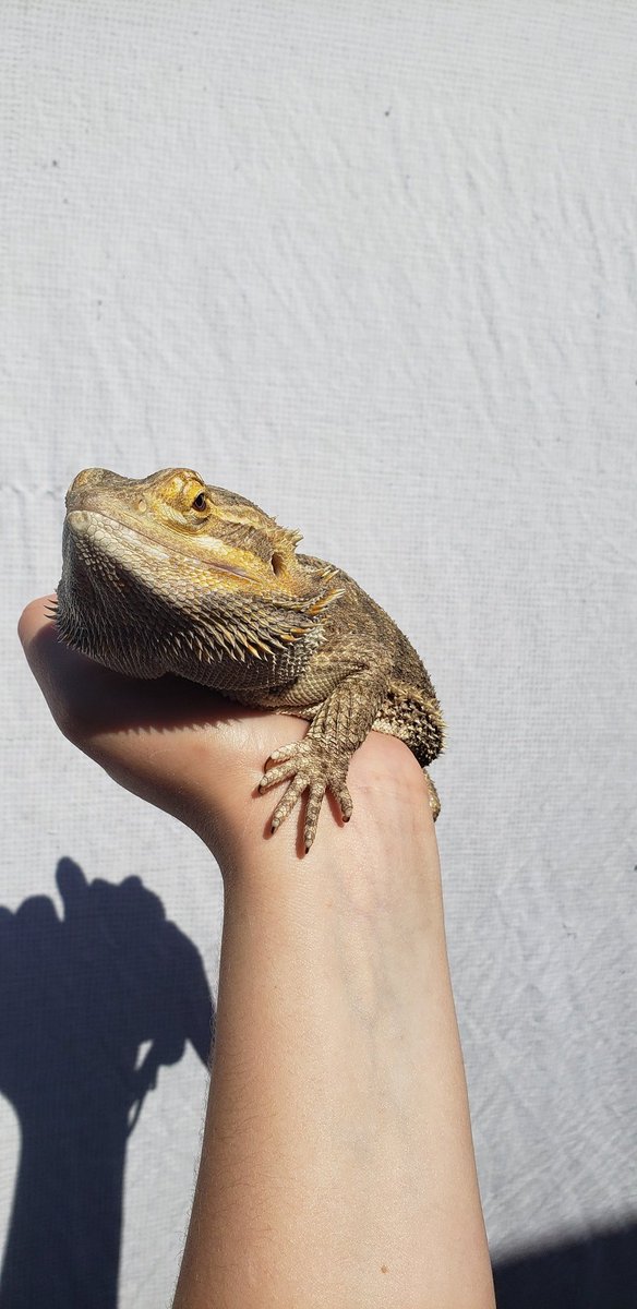 Kristen Noel tweet media