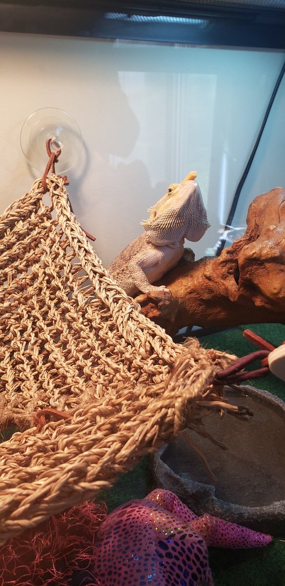 Kristen Noel tweet media