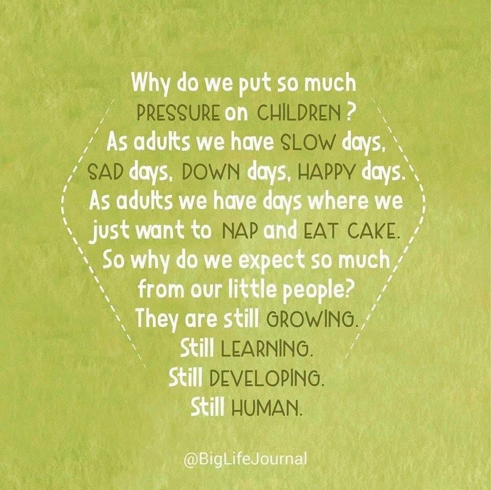 Madison EC 205 tweet media