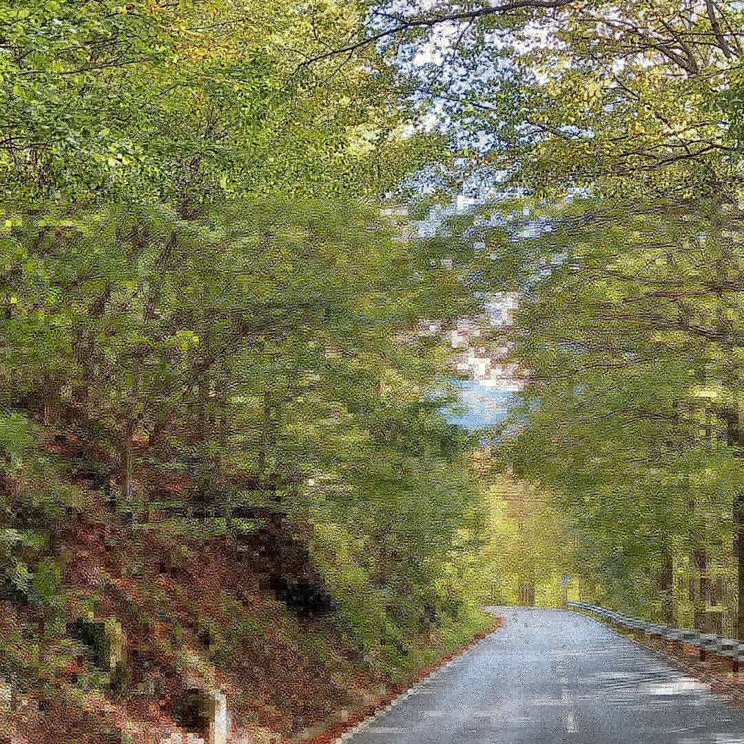 bdestination_'s tweet photo. Sharr mountains are the most beautiful mountains in Kosovo, walking in these mountains is special. Even just taking a car ride is perfect. #visitkosovo #kosovaholidays #prizren
 #vizitokosoven #prevalle #pushoshqip #balkandestination https://t.co/NAi7nbdcW5