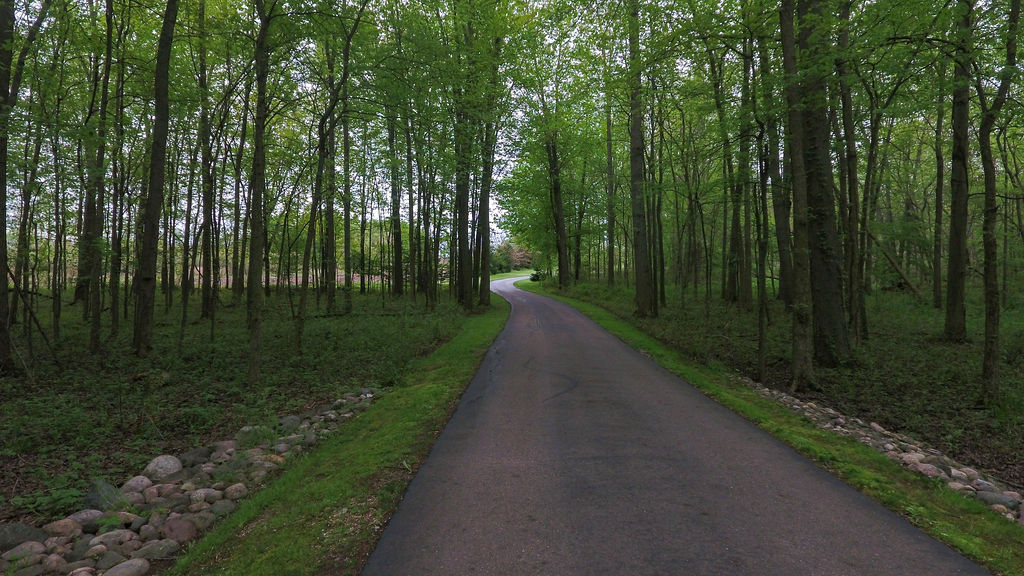 I love the woods, trees, deer and wildlife. What about you?

#autumnvibes #fallvibes #powerofnow  #propertynews #beautifullife #yardwork #walldecor #JoyTrain #togetherness #being #lifecycle #ABetterUrbanFuture #overwhelmed #spirituality
#michigan