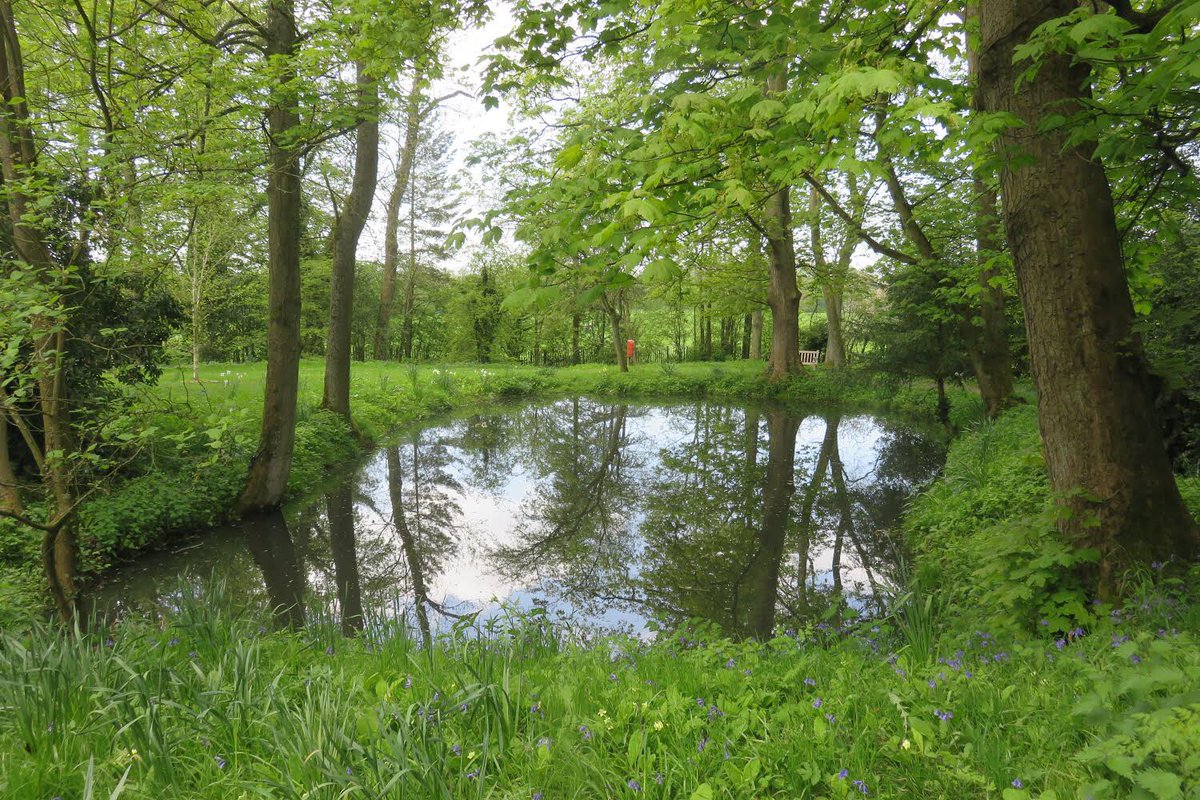 5. ... that although now dry probably once looked something this fishpond at Baddesley Clinton. What I didn’t understand was how the long narrow feature running down the length of the field could be a fishpond.
