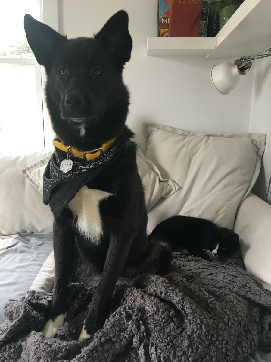 Gabrielle Deveau tweet media