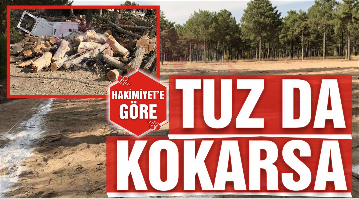 elazighakimiyethaber.com/tuz-da-kokarsa…
<a href="/elazig_tarim/">Elazığ İl Tarım ve Orman Müdürlüğü</a> <a href="/TCTarim/">T.C. Tarım ve Orman Bakanlığı</a> <a href="/bekirpakdemirli/">Dr. Bekir Pakdemirli</a>