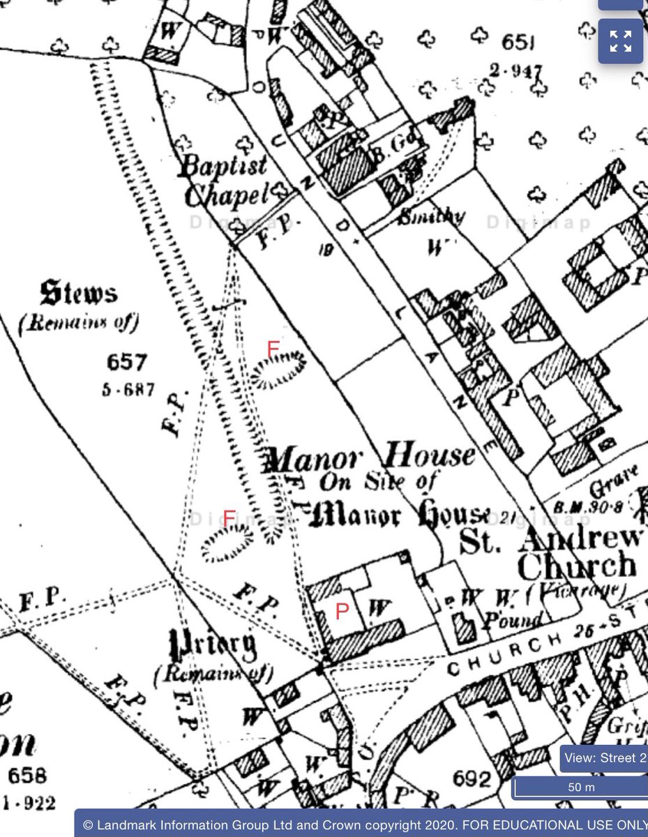 4. ... was the field behind the chapel whose earthworks preserve some of the priory’s activities. What were they? The OS described them as fishponds (also called stews), but they didn’t all look like fishponds. There were roughly rectangular depressions (marked F on the map) ...
