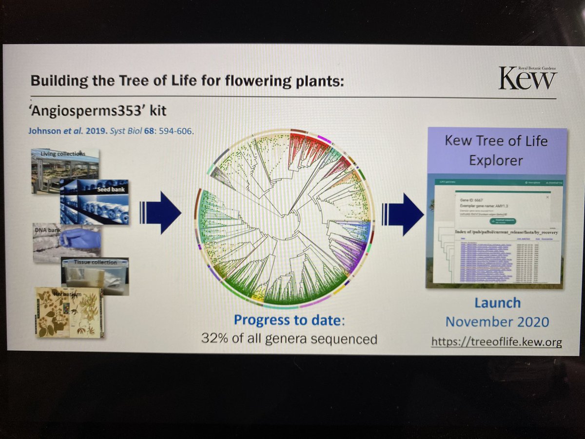 DoctorZedd's tweet image. Ilia Leitch tells us the Kew Tree of Life Explorer is coming next month. #SOTWPF