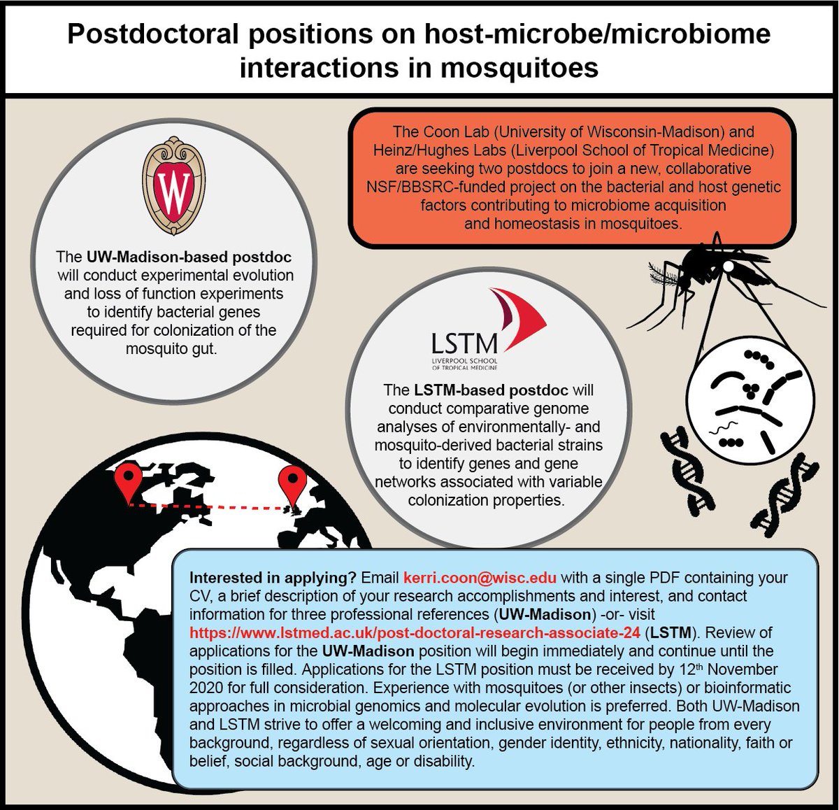 Kerri Coon (@mosmicrobes) on Twitter photo It’s official! We’re now recruiting two postdocs for our 5-year collaborative award from the NSF and BBSRC on mosquito-microbe/microbiome interactions—one in my lab <a href="/UWBact/">UW-Madison Department of Bacteriology</a> <a href="/UWMadison/">UW–Madison</a> and one <a href="/LSTMnews/">LSTM</a> <a href="/LSTMvector/">LSTM Vector Biology</a> with <a href="/EvaHeinz7/">Eva Heinz</a> <a href="/mosquitomicrobe/">Grant Hughes 🦟🦠 @mosquitomicrobe .bsky.social</a>
Please RT/share widely! It’s official! We’re now recruiting two postdocs for our 5-year collaborative award from the NSF and BBSRC on mosquito-microbe/microbiome interactions—one in my lab <a href="/UWBact/">UW-Madison Department of Bacteriology</a> <a href="/UWMadison/">UW–Madison</a> and one <a href="/LSTMnews/">LSTM</a> <a href="/LSTMvector/">LSTM Vector Biology</a> with <a href="/EvaHeinz7/">Eva Heinz</a> <a href="/mosquitomicrobe/">Grant Hughes 🦟🦠 @mosquitomicrobe .bsky.social</a>
Please RT/share widely!