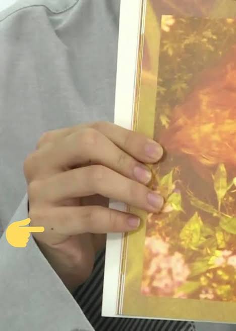 Fun fact : This same baby mole is found on the entire maknae line