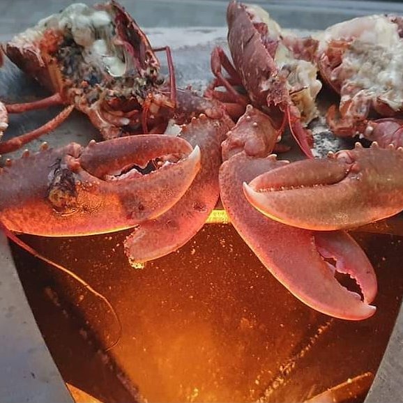 Finoptim's tweet image. Homards, beurre citronné et flambage au rhum sur notre #plancha Origine ! 🔥🍽️ 🤤
Merci pour la recette @barbecueetcochonailles
Bon appétit à tous !
#planchaorigine #planchaabois #grill #homard #cuisine #recette #outdoor #madeinfrance #cuisine #recette #bbq #barbecue #innovation