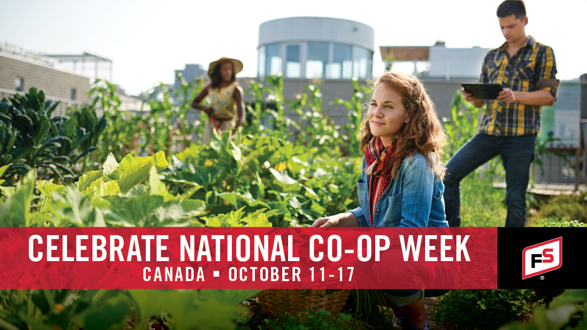 Thank you all for the support you've given us!! Happy National Co-op Week! 🌟💓 #nationalcoopweek