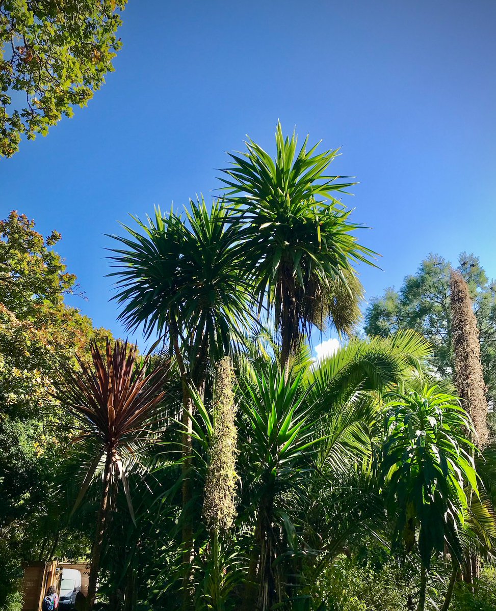lighting_people's tweet photo. We're back at the #Woodlane campus at @FalmouthUni this week involved in the teaching of #modelmaking to the #interiordesign #students. The #campus alone is such an inspiring place to be with its gorgeous #planting. It's great to be back #teaching once again! #Cornwall https://t.co/GhmWqaL7bt