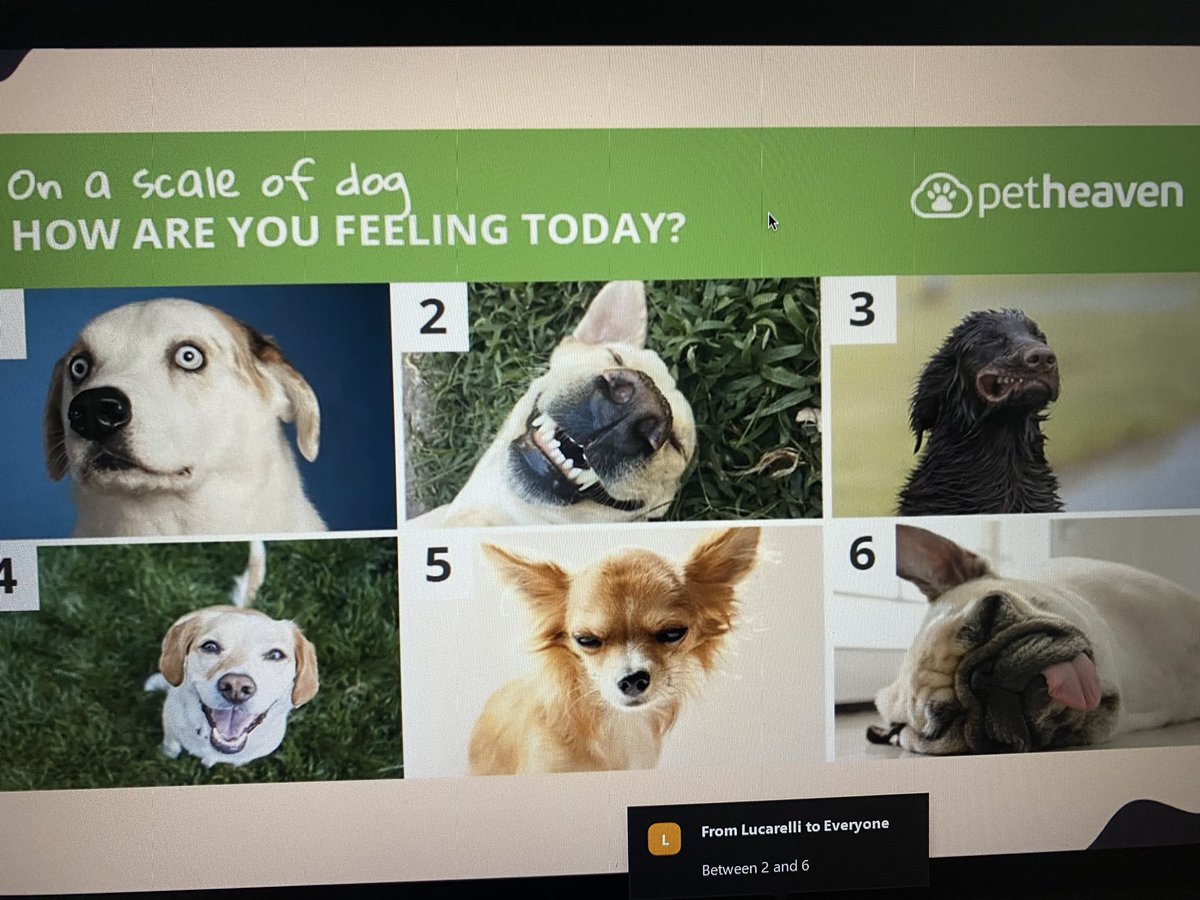 Russell Lieberman tweet media