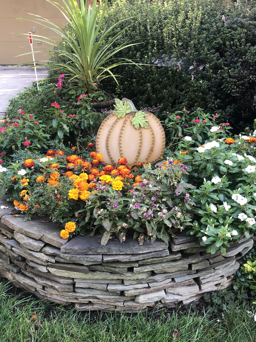 <a href="/BBES213/">Jacklyn Han</a> <a href="/BBESRoom106/">Mrs. Belita</a> <a href="/Pawr911/">Pawr911</a> <a href="/LaBrieMusic/">Katie O'Hara LaBrie</a> BEAUTIFUL day for a lunchtime walk.  We saw 62 pumpkins!  🎃#walktober