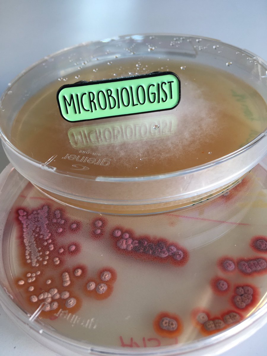 Mout De Vrieze (@moutdv) on Twitter photo Thank you <a href="/FEMSmicro/">FEMS</a> for the awesome pin 😊😊 put it on my lab coat and now I’m officially the coolest kid in the lab 😎 #MicrobeArt2020 <a href="/IntMicroDay/">International Microorganism Day</a> #microbiologist <a href="/unifrBiology/">unifrBiology</a> Thank you <a href="/FEMSmicro/">FEMS</a> for the awesome pin 😊😊 put it on my lab coat and now I’m officially the coolest kid in the lab 😎 #MicrobeArt2020 <a href="/IntMicroDay/">International Microorganism Day</a> #microbiologist <a href="/unifrBiology/">unifrBiology</a>