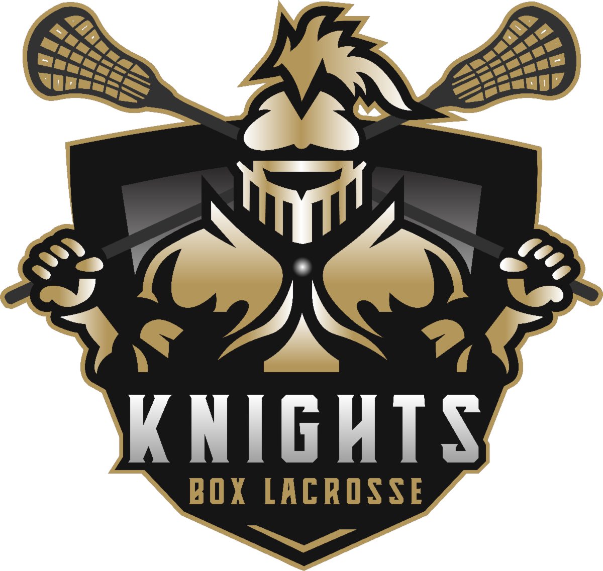 Kings Lacrosse on Twitter "KNIGHTS Box Lacrosse Club Tryouts Nov 22