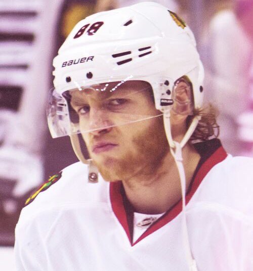 day 66 of nhlers as cute animals, starring one pouty patrick kane 