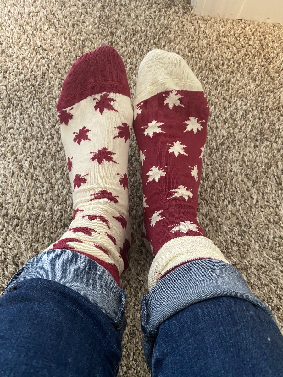 _jennyondablock's tweet photo. Feeling cozy and ready for @SocialAtHome on this snowy day ❄️ #socialathome https://t.co/TRoEhknxXT