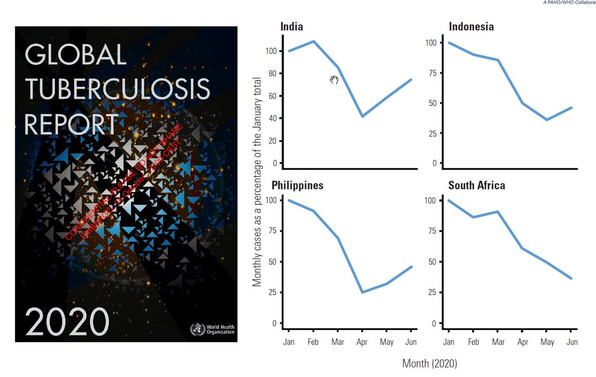 In India, Indonesia, the Philippines and South Africa, four countries that account for 44% of global TB cases, there were large drops in the reported number of people diagnosed with TB between January and June 2020