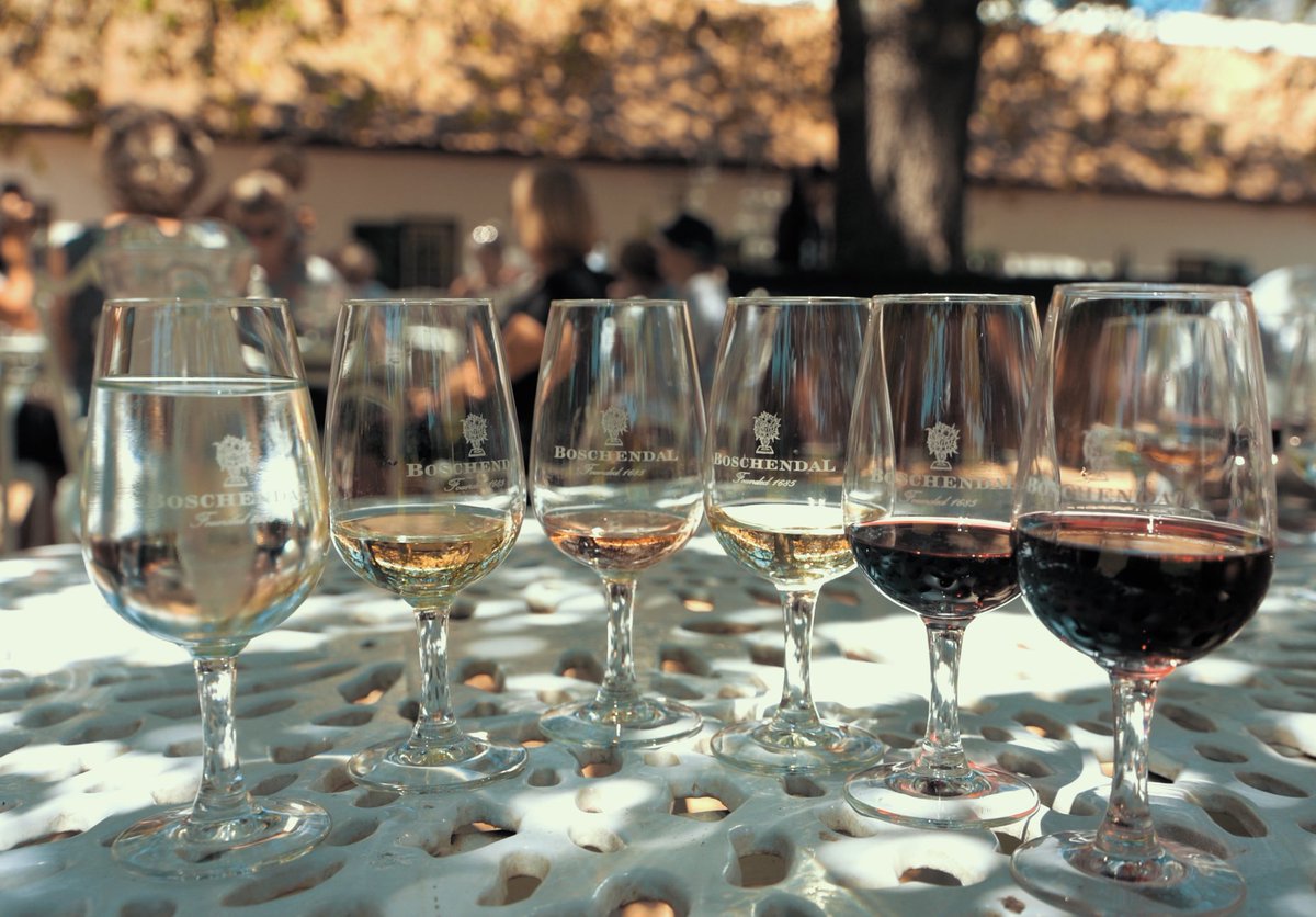 visitwithus's tweet image. Thank you for the LUT pack @petermckinnon - the final part of my South African voyage vlog is going to look FAB-U-LOUS! 😍

#firsttimeuser #blownaway #whydidntidothisbefore #whoknew #lutconvert #editnoob