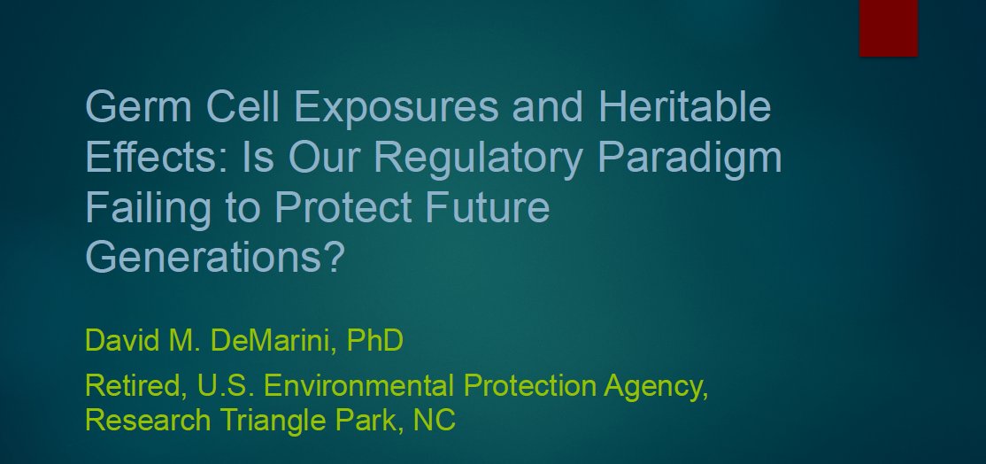 In risk assessment for drugs and chemicals, #germcell susceptibilities represent a major gap, said our opening keynote, both in terms of mutagenicity (very limited testing) + epimutagenicity (no testing). Paradigms are somatic-focused, outdated. Soon at beyondgenes.org.