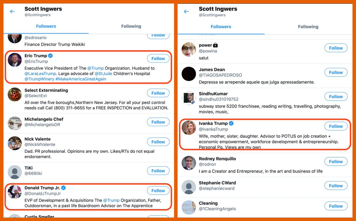 Meet  @ScottIngwers. This account has never tweeted, never liked any tweets, has no bio, and uses a default profile pic. Despite this, its 342 followers include  @DonaldJTrumpJr,  @IvankaTrump, and  @EricTrump.