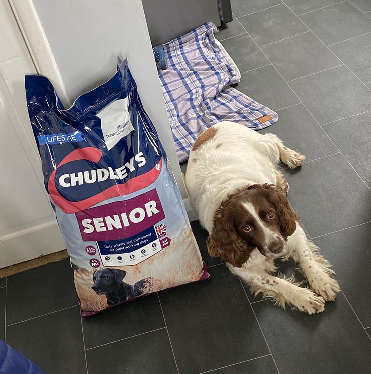 Chudleys tweet media