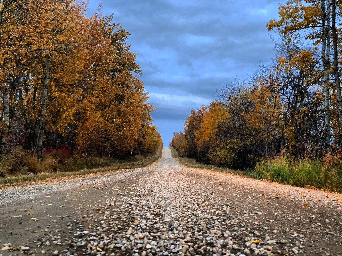 stormsandskies's tweet image. Sending so much gratitude out there today! Already sold more than 40 calendars in less than a week!

If you haven’t grabbed one yet, send me a DM and let’s make it happen! $20 with pickup or delivery options for Central AB!

#CentralAlberta #SylvanLake #SupportLocal #LocalArtist