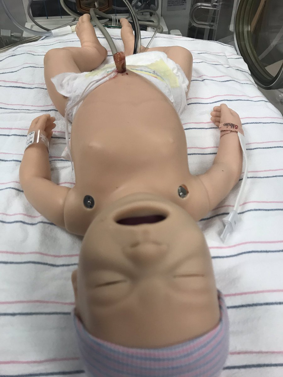 s921v's tweet photo. SBML NNP bootcamp today! #SimSavesLives #BabySim #UmbilicalLineDeliberatePractice My brilliant colleague @DahlenBrittany running the show! https://t.co/2k9NXW9eFx