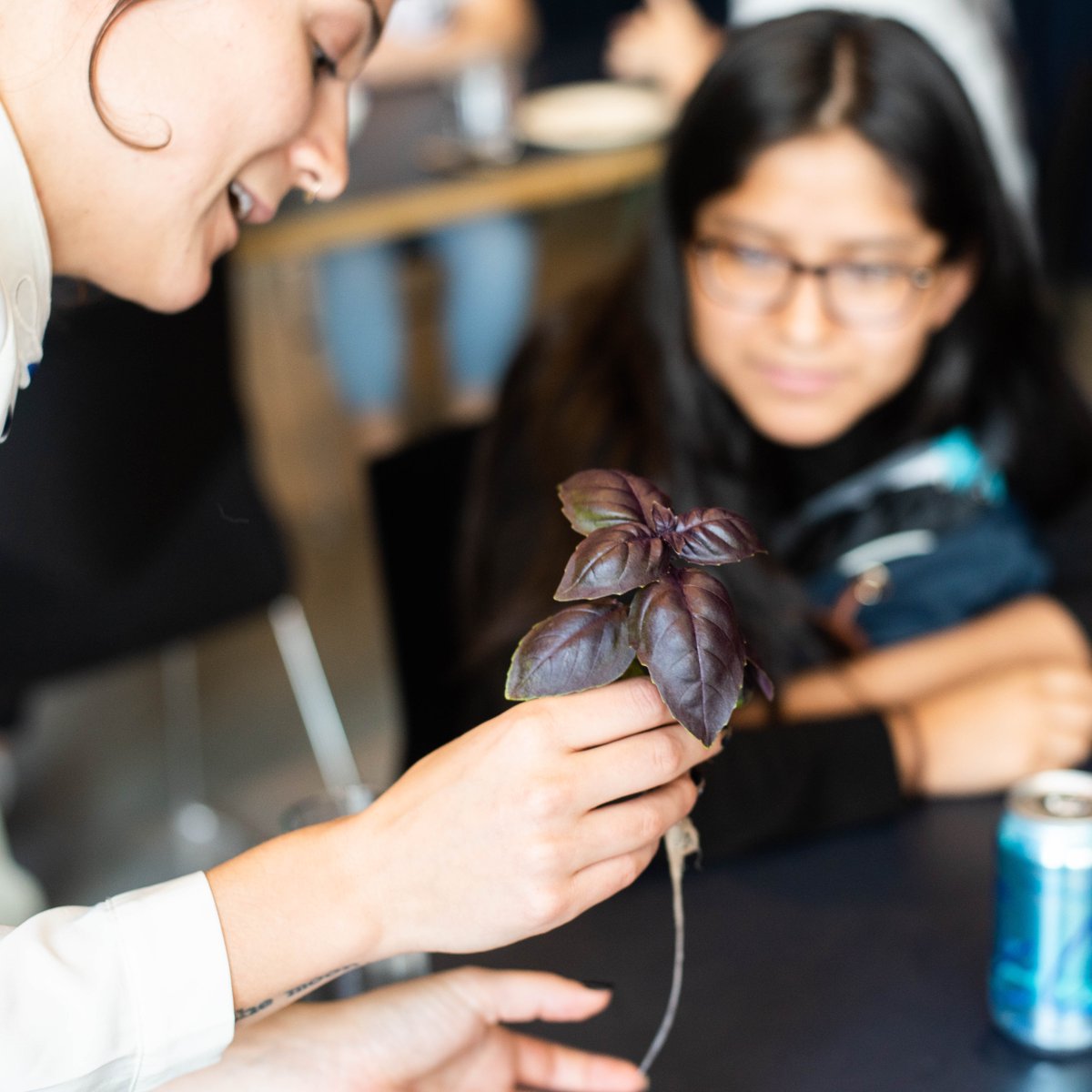 Nourish your body and mind! Farmshelf is dedicated to furthering STEM education for young people, teaching students about controlled environment agriculture and the cutting edge of advances in agricultural technology.  🌿#smartindoorfarm