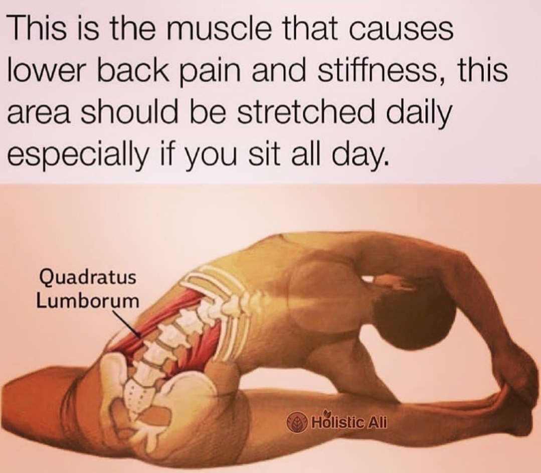 ImtAbhishek's tweet image. Strengthening of back extensors are important.

#stretching #backworkout #backstrength #workout #workoutmotivation #gym #blog #fitnessmotivation #fitnessblog #fitnessblogger #blogger #thunderbarbell #fitness #crossfit #bodybuilding