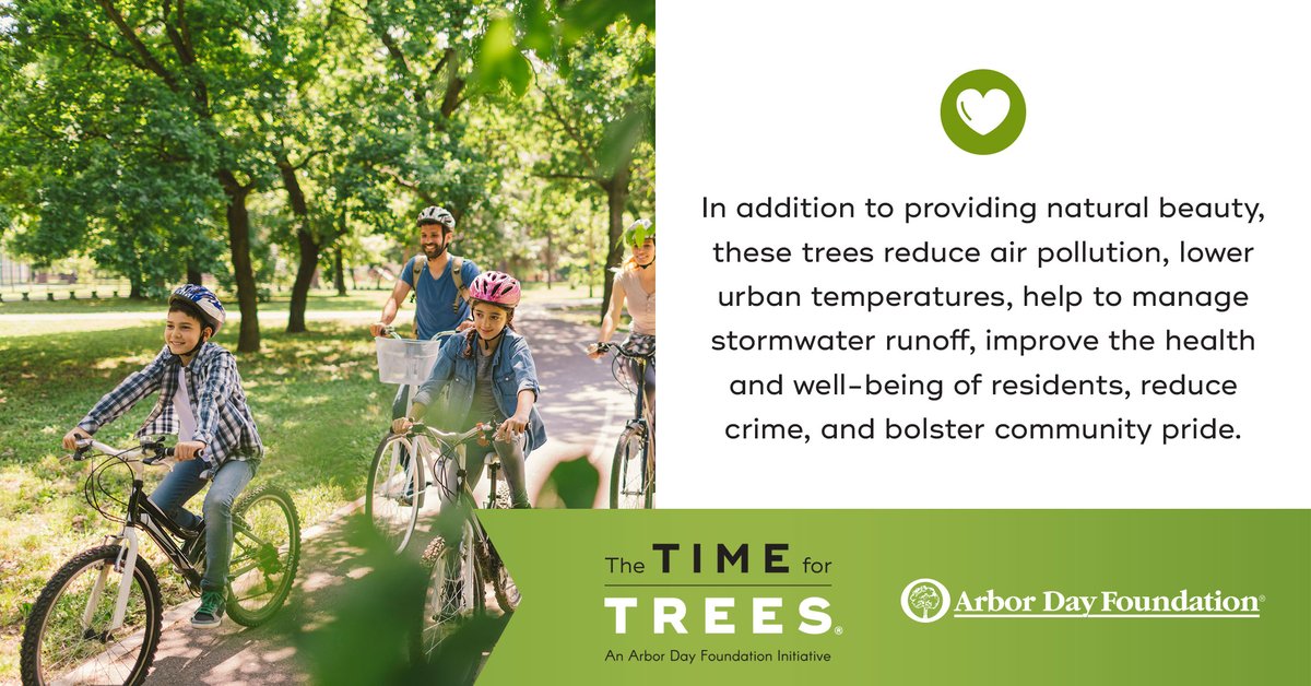 arborday's tweet image. The #TimeForTrees initiative will plant 100 million trees. There are so many benefits! 

timefortrees.org