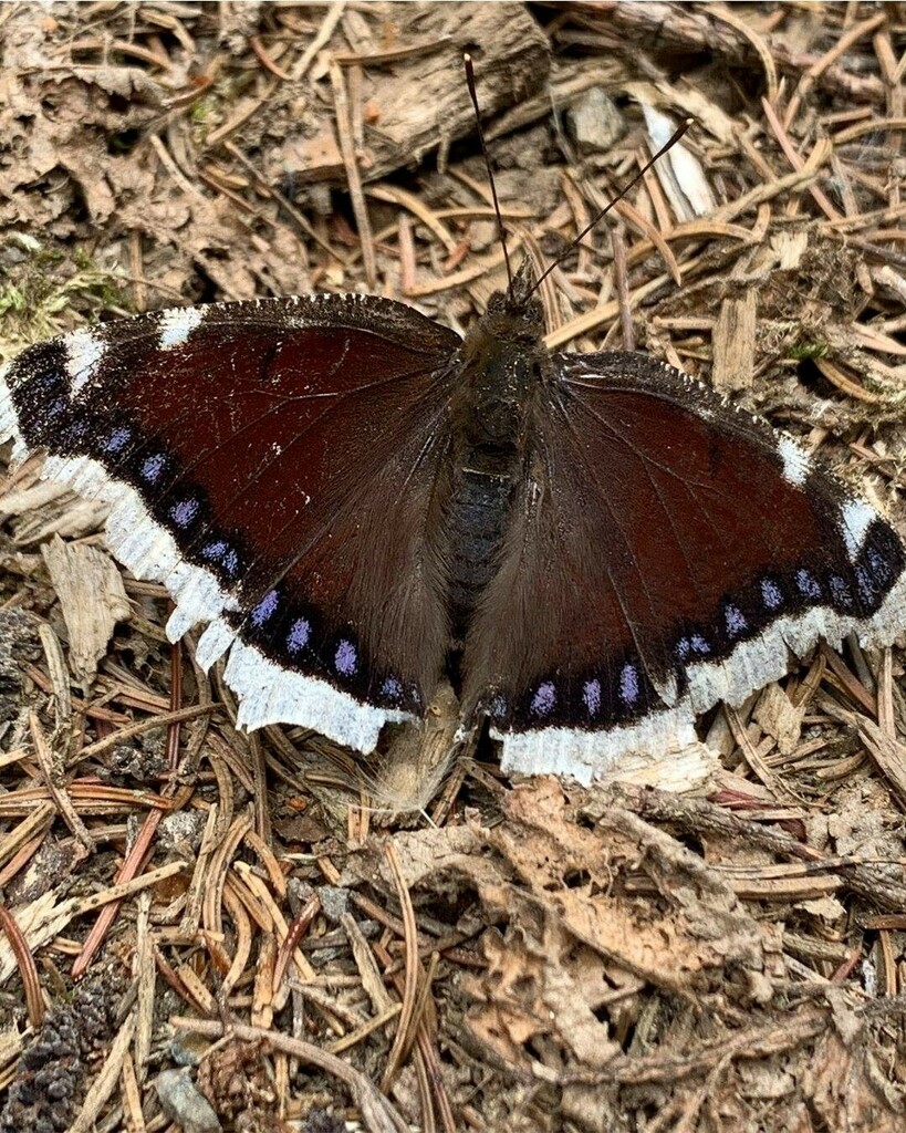 Die Graggerschlucht zählt zu Gebirgsgruppe der Nockberge mit den Schutzgebieten Naturpark Grebenzen Furt und dem Vogelschutzgebiet Furtner Teich. Mehr dazu am Blog. Auf unserem YouTube Kanal gibt’s auch ein Video. Folgt uns für weitere Eindrücke unsere… instagr.am/p/CGVFtJxC2WC/