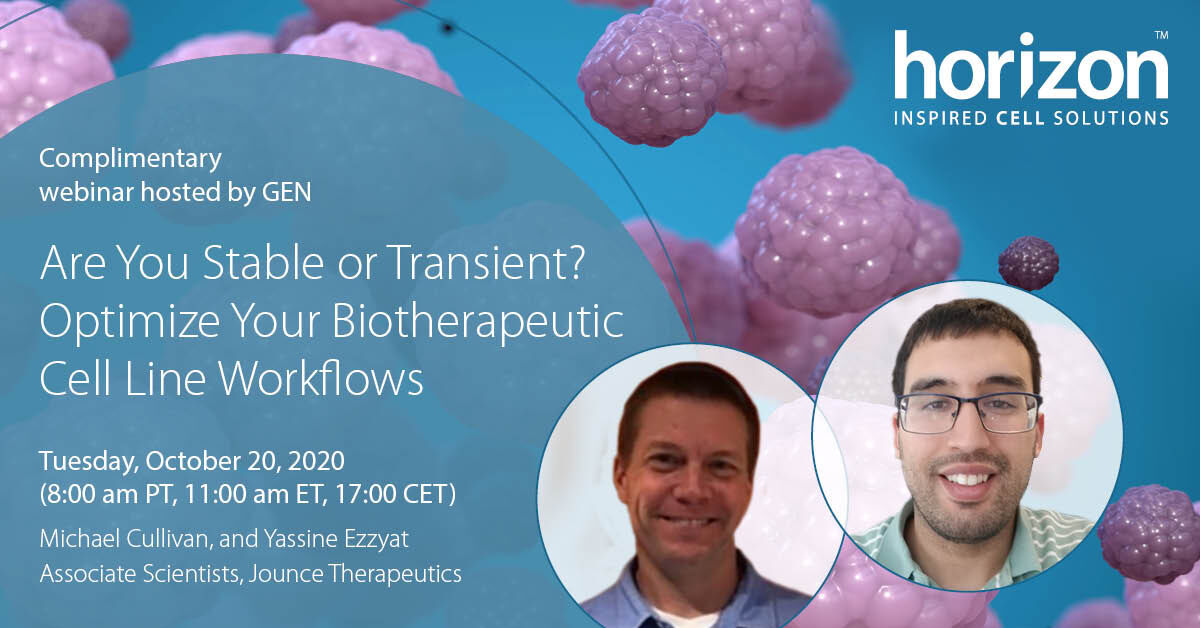HZDiscovery's tweet photo. Six days until the 2nd @GENbio bioproduction webinar! Research Scientists from @JounceTx will share expertise on the integration of @HZDiscovery's CHOSOURCE™ platform into their drug development workflow. https://t.co/TWXEUiDxtI
#InspiredCellSolutions #Bioproduction #CHOSOURCE https://t.co/a3HshTqD3p