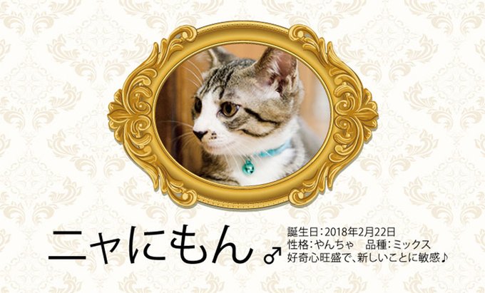 ヘミングウェイのtwitterイラスト検索結果 古い順