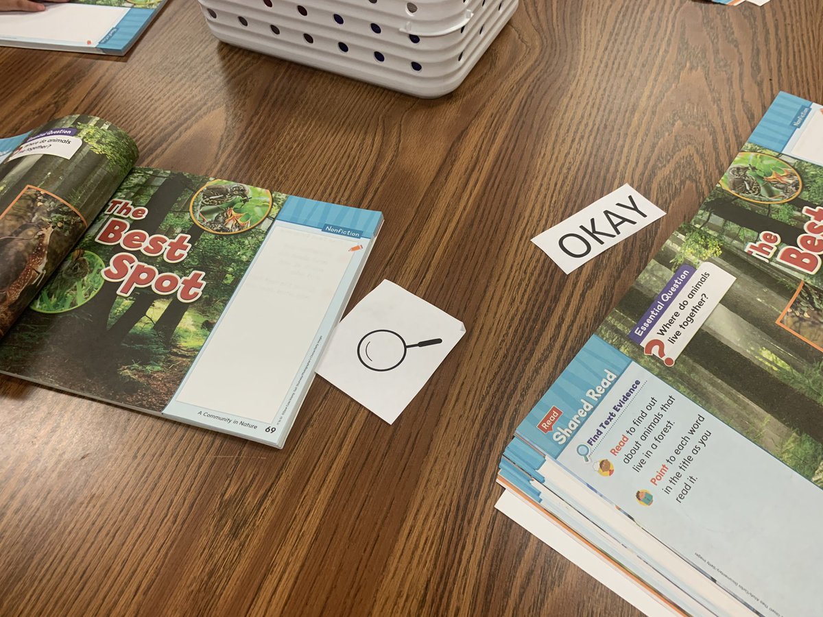 SydneyLugo77's tweet photo. What are these FIRST graders doing you may ask? Well. They are collaboratively working together on making predictions AND asking Q’s in their reading today! We have a predictor job, the questioner job, a noticer position, and a clarifier. All are important parts of comprehension! https://t.co/iHzVj8SP9E