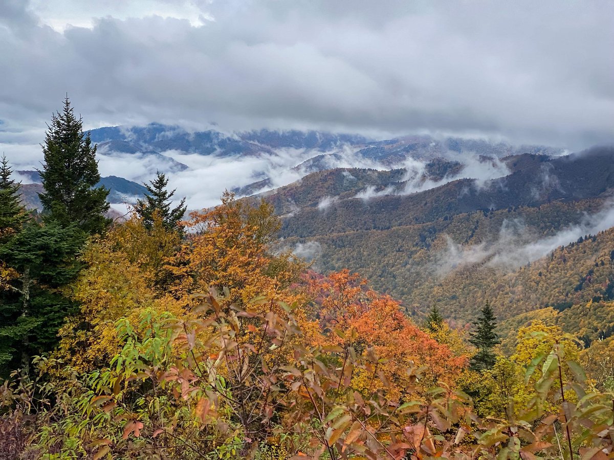 KMac_n_cheese's tweet photo. @RndmForestRunnr The Smoky Mountains miss you!  They are looking as smoky as ever. Here's a photo Chris Hanlon took this past weekend. https://t.co/pdg4kr0Auu