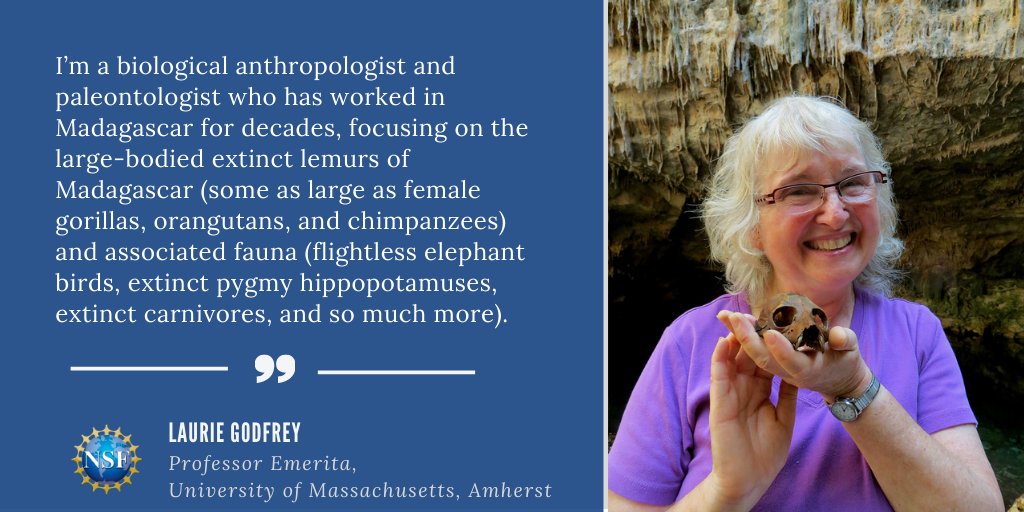 NSF's tweet photo. This is Laurie Godfrey. Godfrey and team have discovered a great series of fossil elephant birds (largest bird that ever lived!) and hippopotamuses as well as some lemurs. #NationalFossilDay https://t.co/fqyZooUlQ9