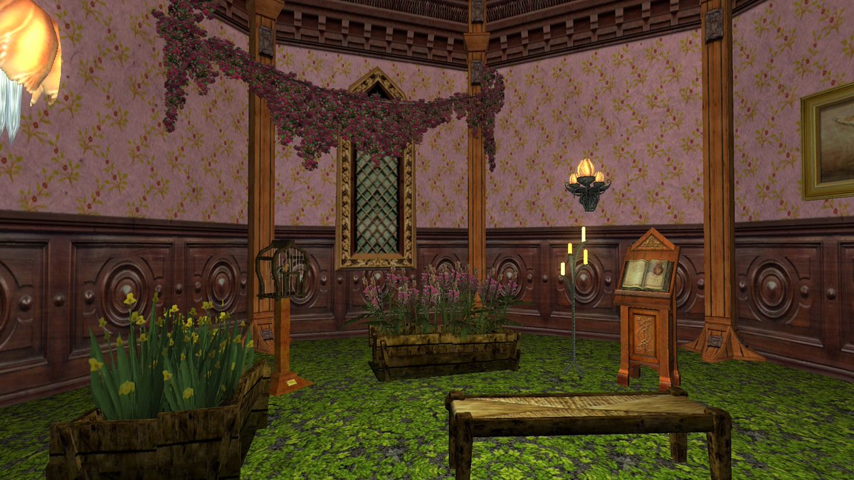 Finally settled my elf Roo into a Falathlorn home! Was a fun decorating experience after working for weeks in Rohan :) Few pics of the results! @decodumilieu #LOTRO  2 Twinfall, Olfarth on Brandywine :)