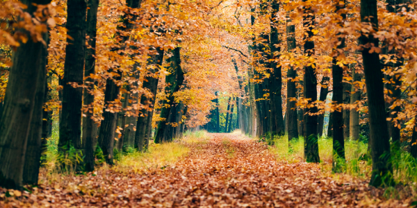 There was no question 2020 would be a write-off for the #hospitalityindustry however 2021 seemed solid – until it wasn’t. We are all trying to predict where we go from here &amp; just how long it will take to find solid ground again.  Read more here: bit.ly/34Rkzq3 #meetings