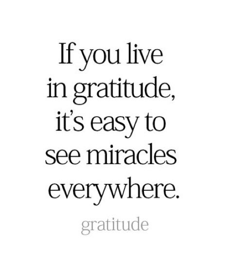 ArmestoEye's tweet image. #tuesdayvibes #gratitude We can help you see what you’re missing! We love eyes💚