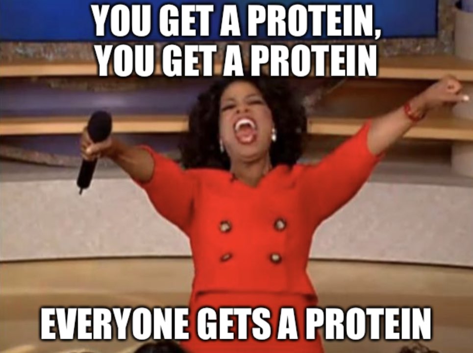 End0Ret's tweet photo. Endoplasmic Reticulum every day:
@SICPLum https://t.co/sarmJhDCXs